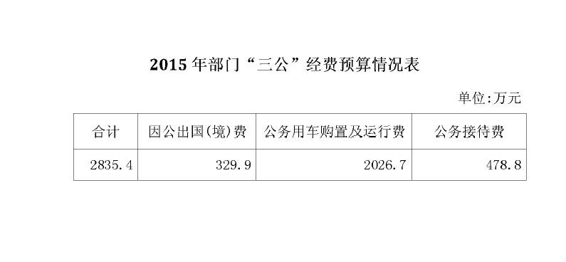 预算情况表